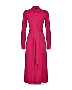 Pinko Alevismo Abito Dress