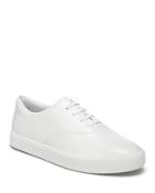 Vince Women's Blair 2 Lace Up Sneakers