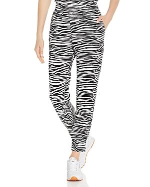 Aqua Zebra Print Jogger Pants - 100% Exclusive