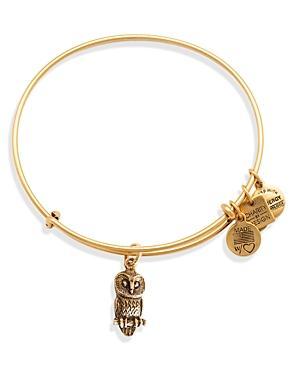 Alex And Ani Ode To The Owl Expandable Wire Bangle, Charity By Design Collection