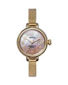 Shinola The Birdy Mesh Bracelet Watch, 34mm