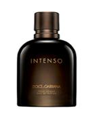 Dolce & Gabbana Intenso Pour Homme Eau De Parfum 6.76 Oz.