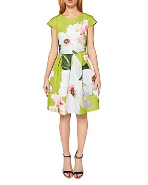 Ted Baker Lynetta Chatsworth Bloom Skater Dress