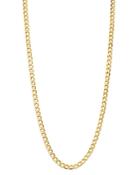 Bloomingdale's 14k Yellow Gold Solid Curb Chain Necklace, 20 - 100% Exclusive