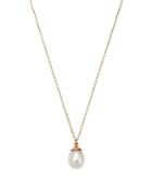 Moon & Meadow 14k Yellow Gold Freshwater Pearl Pendant Necklace, 18