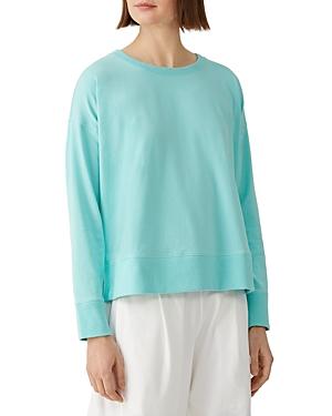 Eileen Fisher Long Sleeve Crewneck Top