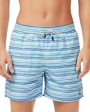 Tom & Teddy Striped Swim Trunks