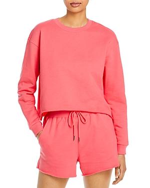Blanknyc Sweatshirt