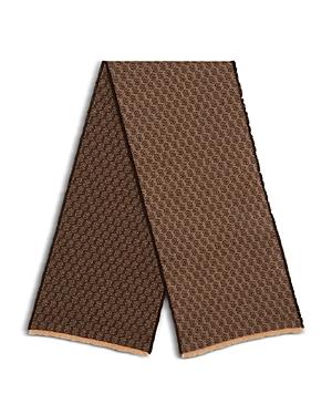 Salvatore Ferragamo Testa Cashmere & Silk Scarf