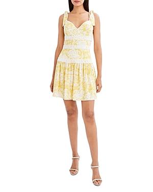 Bcbgmaxazria Sleeveless Floral Print Dress
