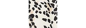 Sanctuary Replay Cotton Printed T-shirt Dress