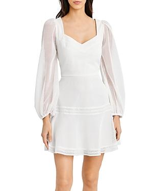 Bcbgmaxazria Mesh Mini Dress