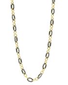 Freida Rothman Two-tone Chain Necklace, 18 - 100% Exclusive