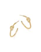 14k Yellow Gold Knotted Hoop Earrings - 100% Exclusive