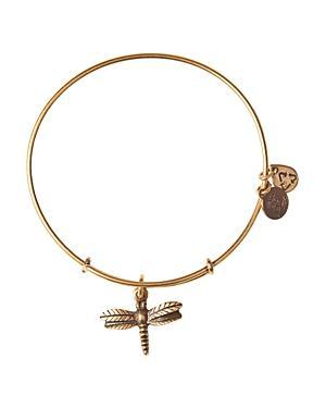 Alex And Ani Dragonfly Expandable Wire Bangle