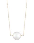 Mateo 14k Yellow Gold Suspended Cultured Freshwater Pearl Cable Necklace, 16