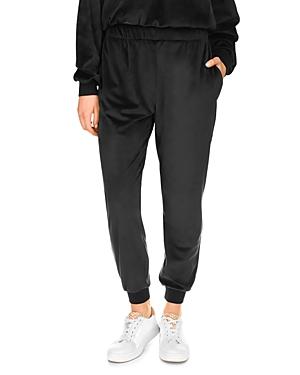 Sanctuary My Time Velour Jogger Pants