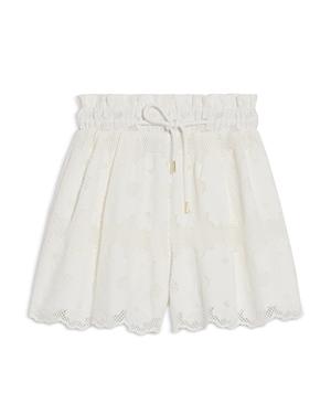Sandro Adam Embroidered Lace Shorts