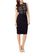 Phase Eight Ivy Lace Combo Dress
