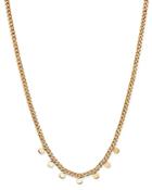 Zoe Chicco 14k Yellow Gold Itty Bitty Dangling Discs Curb Chain Necklace, 16