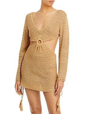 Fore Cut Out Crochet Mini Dress
