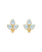 Temple St. Clair 18k Yellow Gold Foglia Trio Blue Moonstone Earrings