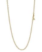 Temple St. Clair 18k Gold Extra Small Oval Chain, 18