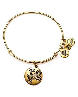 Alex And Ani Aries Expandable Wire Bangle