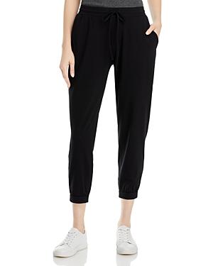 Eileen Fisher Ankle Sweatpants