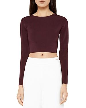 Ted Baker Cailie Cropped Long Sleeve Sweater