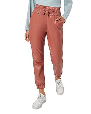 Joie Wadley Pants