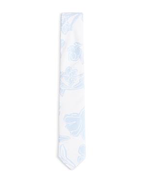 Ted Baker Ramsy Printed Tie