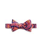 Ted Baker Hot Paisley Self Tie Bow Tie