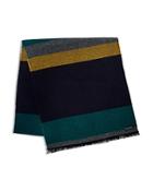 Ted Baker Helston Four Color Striped Scarf