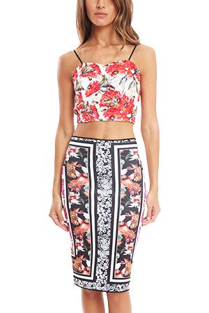 Clover Canyon Frederick Print Crop Top