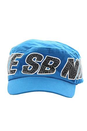 Nike Sb Painters Cap