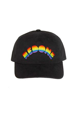 Re/done Rainbow Logo Dad Cap