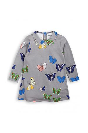 Mini Rodini Butterflies Collar Dress