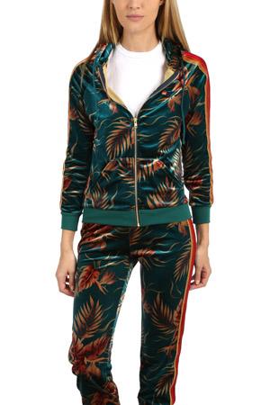 Aviator Nation Classic Velvet Zip Hoody