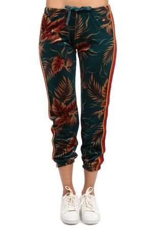 Aviator Nation Classic Velvet Sweatpant