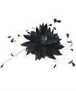 Jane Tran Feather Whirl Fascinator