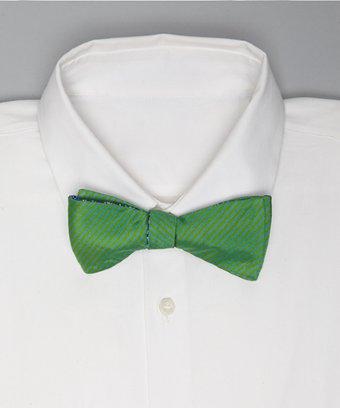 Countess Mara Reversible Green Stripe And Floral Silk Bow Tie