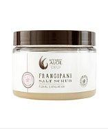 Key West Aloe Frangipani Salt Scrub