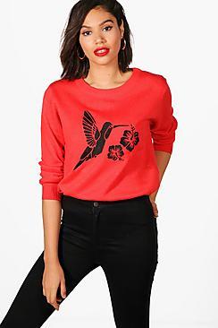 Boohoo Georgina Bird Embroidered Jumper