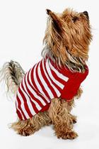 Boohoo Poppy Stripe Dog Christmas Jumper