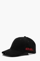 Boohoo Faux Suede 6 Panel Cap With Side Embroidery