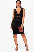 Boohoo Plus Emily Applique Detail Lace Midi Skirt