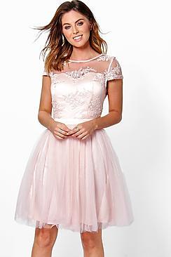 Boohoo Boutique Ayra Embroidered Mesh Skater Dress
