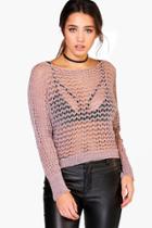 Boohoo Daisy Mesh Metallic Batwing Jumper Mocha