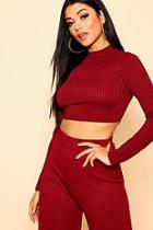 Boohoo Jumbo Rib Curved Hem Turtle Neck Crop